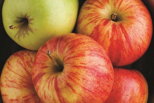 La Quinta Inn & Suites by Wyndham Cleveland image 24